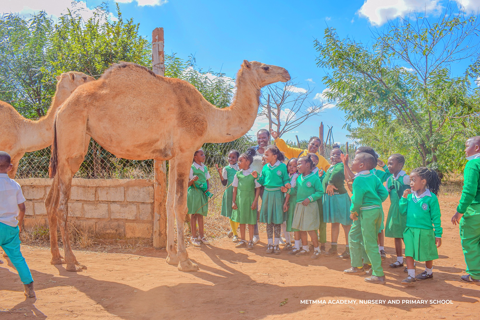 Engaged students in classroom